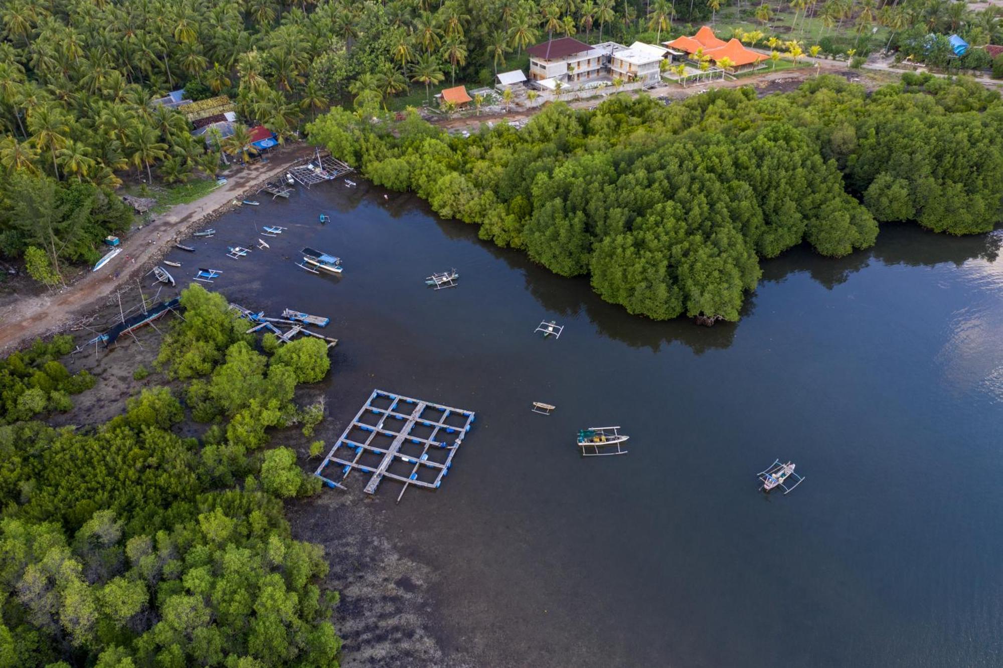 Mangroove Bay Boutique Hostel Banyuwedang Extérieur photo